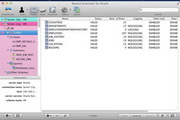 fortune tiger ganhar dinheirov.19.16.03Versão mais recente de 32 bits
